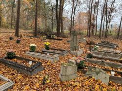 Chryzantemy na cmentarzach, przy domkach jednorodzinnych, w bagażnikach samochodów