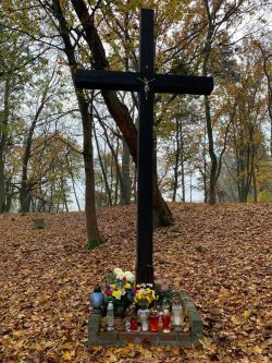 Chryzantemy na cmentarzach, przy domkach jednorodzinnych, w bagażnikach samochodów