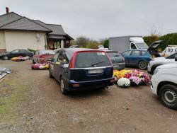 Chryzantemy na cmentarzach, przy domkach jednorodzinnych, w bagażnikach samochodów