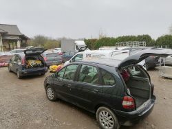 Chryzantemy na cmentarzach, przy domkach jednorodzinnych, w bagażnikach samochodów