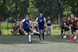 Impact 12