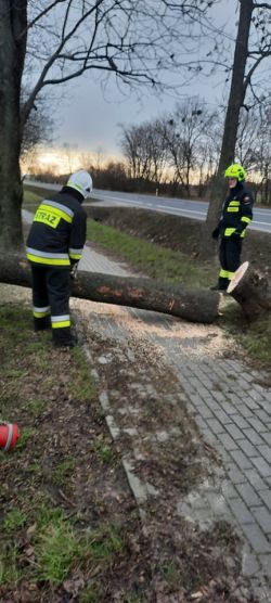 wichura_Obrowo_02_2022_08