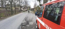 wichura_Obrowo_02_2022_10