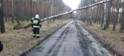 wichura_Obrowo_02_2022_11