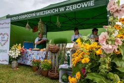 Zbowo fot Agnieszka Niwinska Powiat Torunski