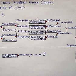 Gmnne zawody w indywidualnym tenisie stołowym dziewcząt