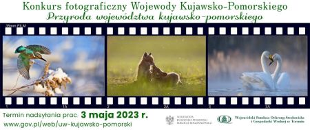 Plakat Przyroda Województwa Kujawsko Pomorskiego