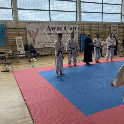ogólnopolski turniej karate