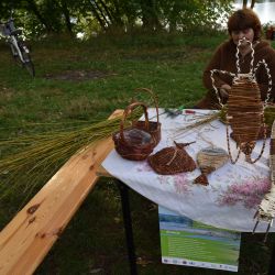 Wiślany Festyn Przyrodniczy w Silnie