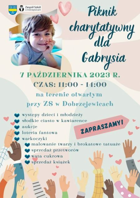 Piknik charytatywny dla Gabrysia