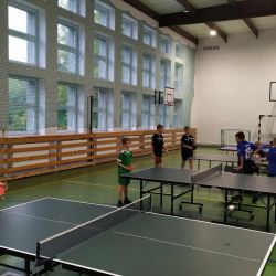 Gminny drużynowy tenis stołowy chłopców