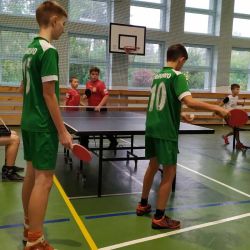 Gminny drużynowy tenis stołowy chłopców