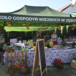 Dożynki Gminne 2024 w Osieku nad Wisłą