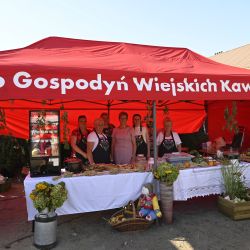 Dożynki Gminne 2024 w Osieku nad Wisłą