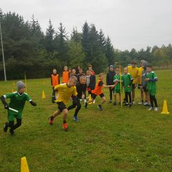 Sztafetowe biegi przełajowe dziewcząt i chłopców klas 5-6 i 7-8