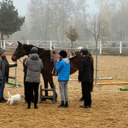 Projekt szkolny  „Upowszechnianie jeździectwa – ogólnopolskie treningi woltyżerskie”