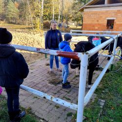 Projekt szkolny „Upowszechnianie jeździectwa – ogólnopolskie treningi woltyżerskie”