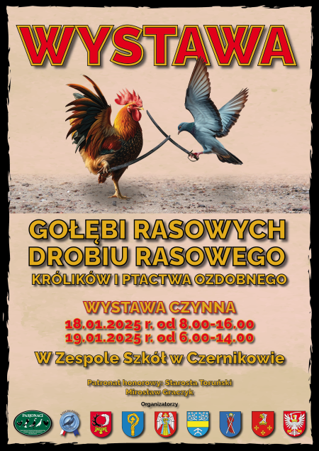 Wystawa w Zespole Szkół w  Czernikowie