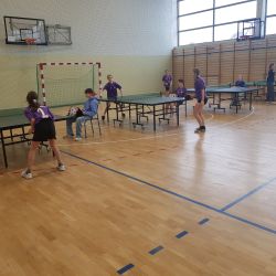 Gminne zawody w indywidualnym tenisie stołowym szkół podstawowych