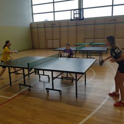 Gminne zawody w indywidualnym tenisie stołowym szkół podstawowych