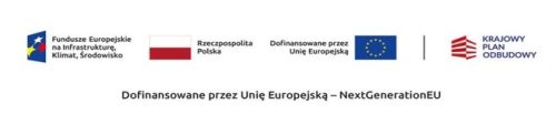 Dofinansowane przez Unię Europejską