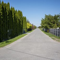 Głogowo, ul. Słonecznikowa