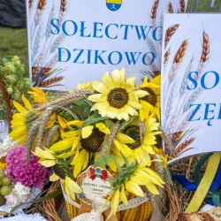 Gminne Dożynki w Obrowie