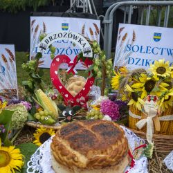 Gminne Dożynki w Obrowie