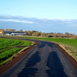 Modernizacja drogi w Skrzypkowie