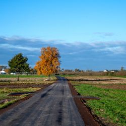 Modernizacja drogi w Skrzypkowie