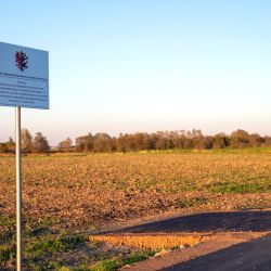 Modernizacja drogi w Skrzypkowie