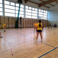 Piłka siatkowa dziewcząt i chłopców z klas 7-8