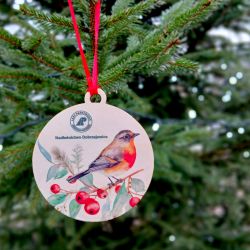 Choinka przy Urzędzie Gminy dzięki partnerstwu z Nadleśnictwem Dobrzejewice