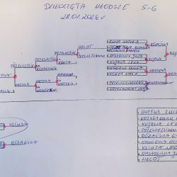 Indywidualny tenis stołowy dziewcząt i chłopców