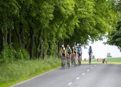 _DSC7947 Wyścig Kolarski o Puchar Wójta Gminy Obrowo