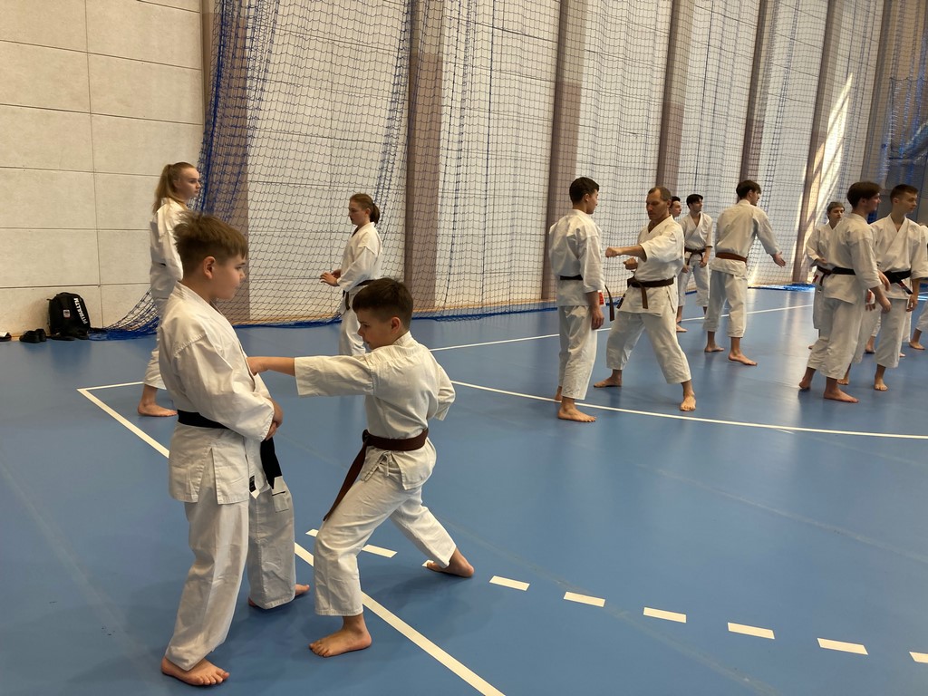 Bezpłatne zajęcia sportowe z elementami karate dla całych rodzin
