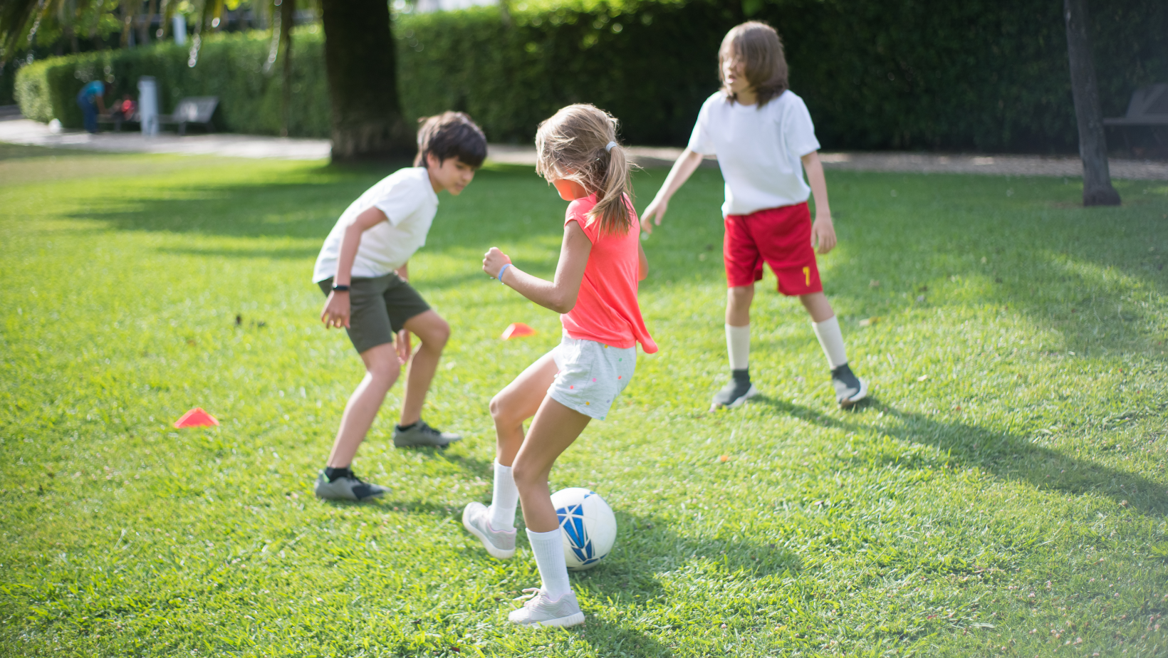 Konkurs na realizację zadań sportowych