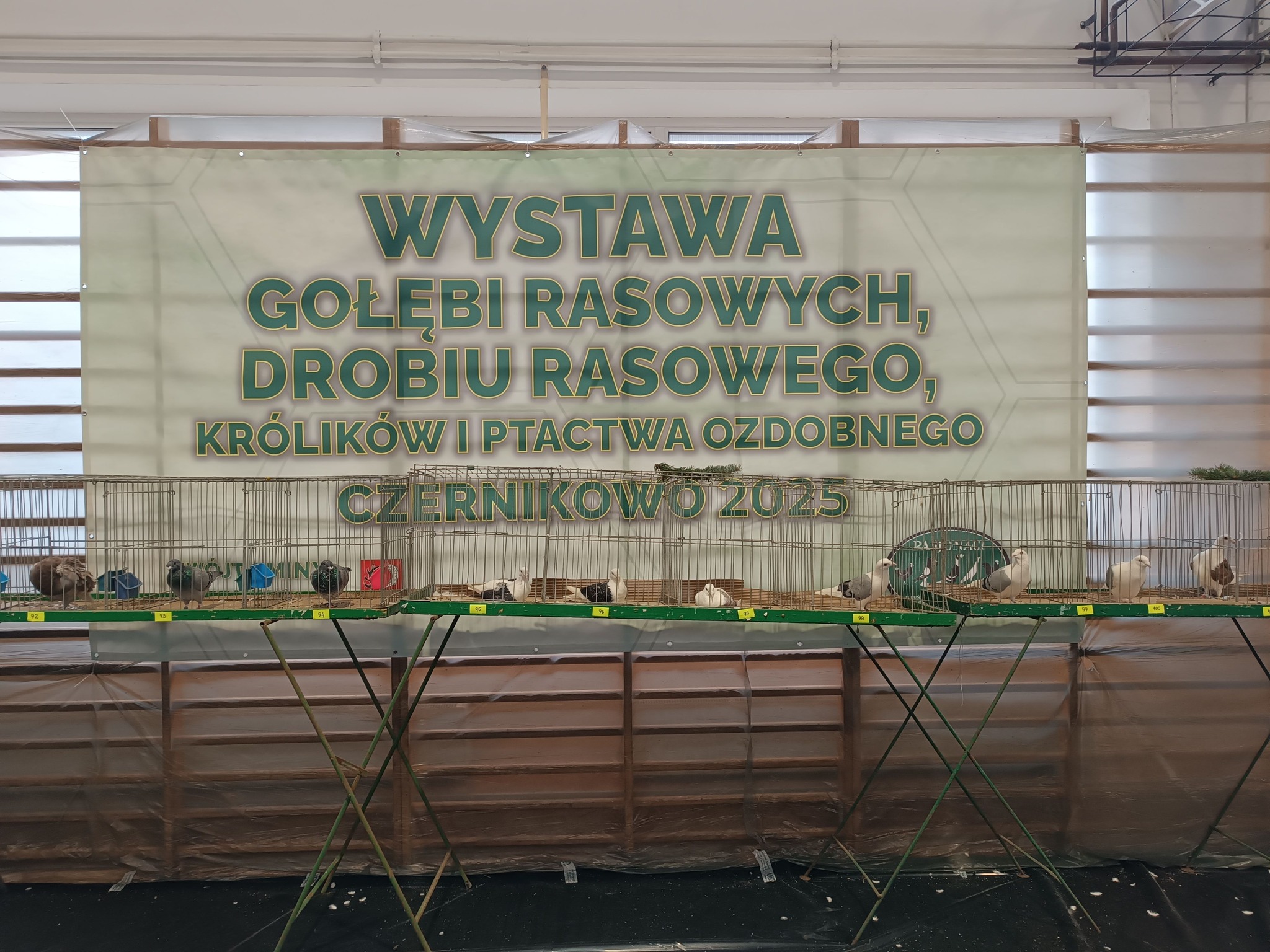 Wystawa na ogólnopolską skalę