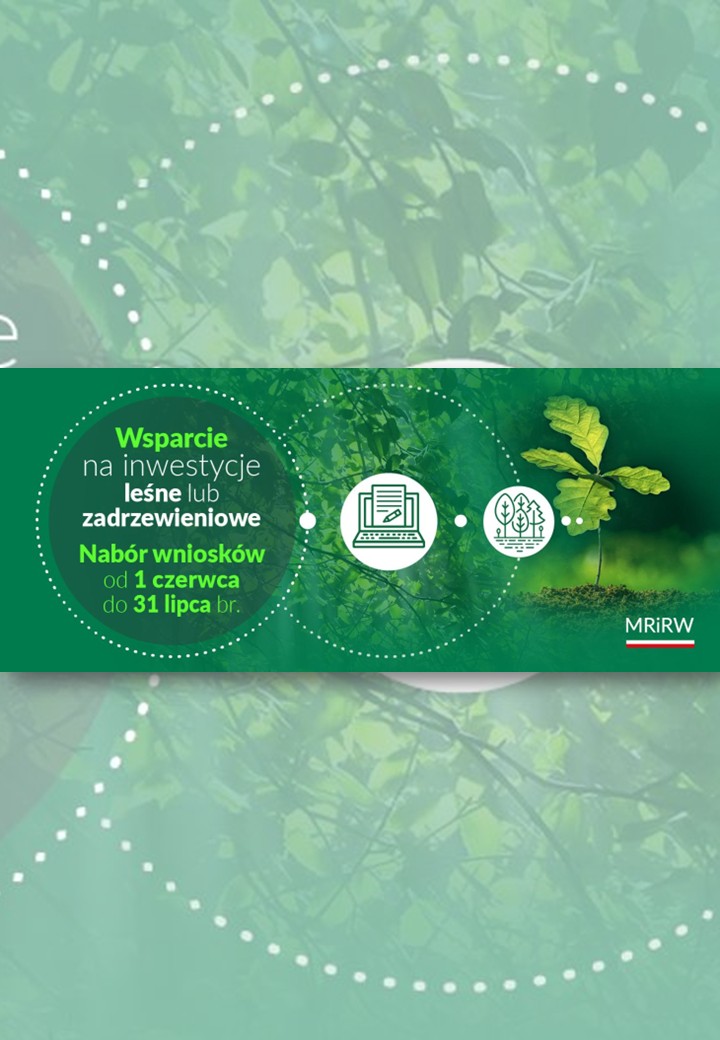 Wsparcie na inwestycje leśne lub zadrzewieniowe