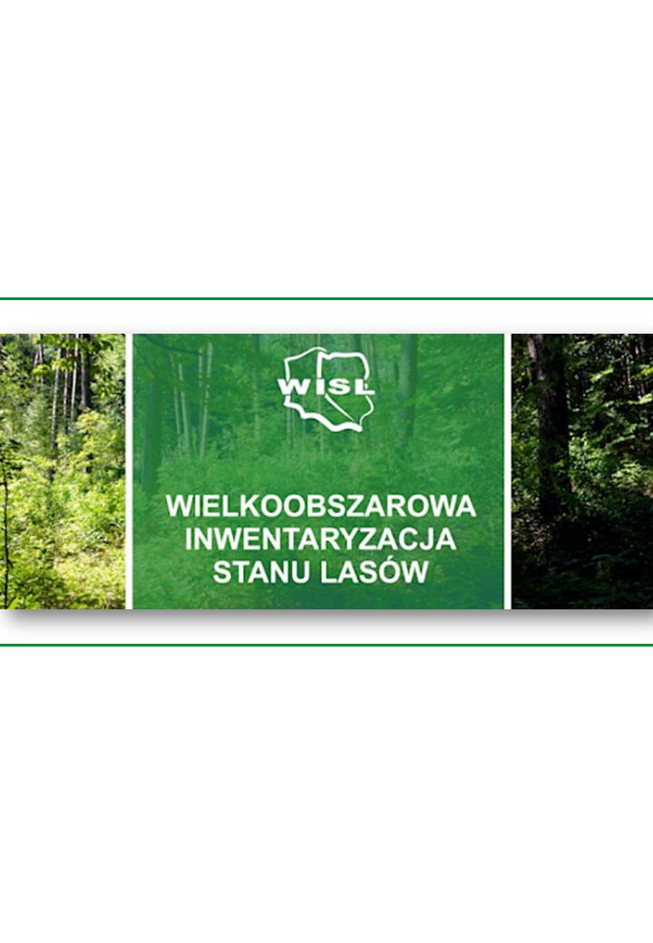 Inwentaryzacja Lasów 2025–2029
