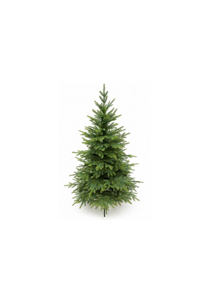 Odbiór choinek świątecznych