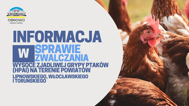Uwaga – ognisko ptasiej grypy (HPAI) w regionie