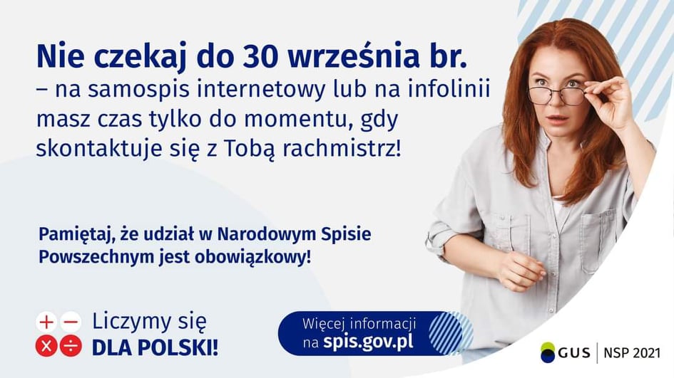 grafika spisu powszechnego