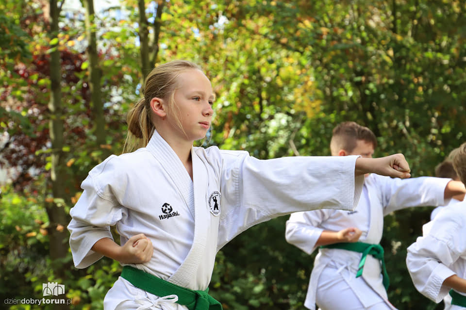 pokaz karate