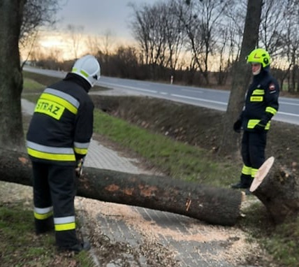 Bilans orkanu Eunice nad Obrowem