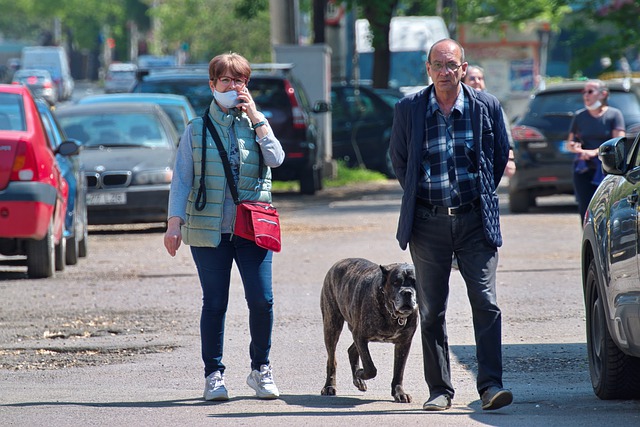 Uproszczona procedura przekraczania granicy ze zwierzętami